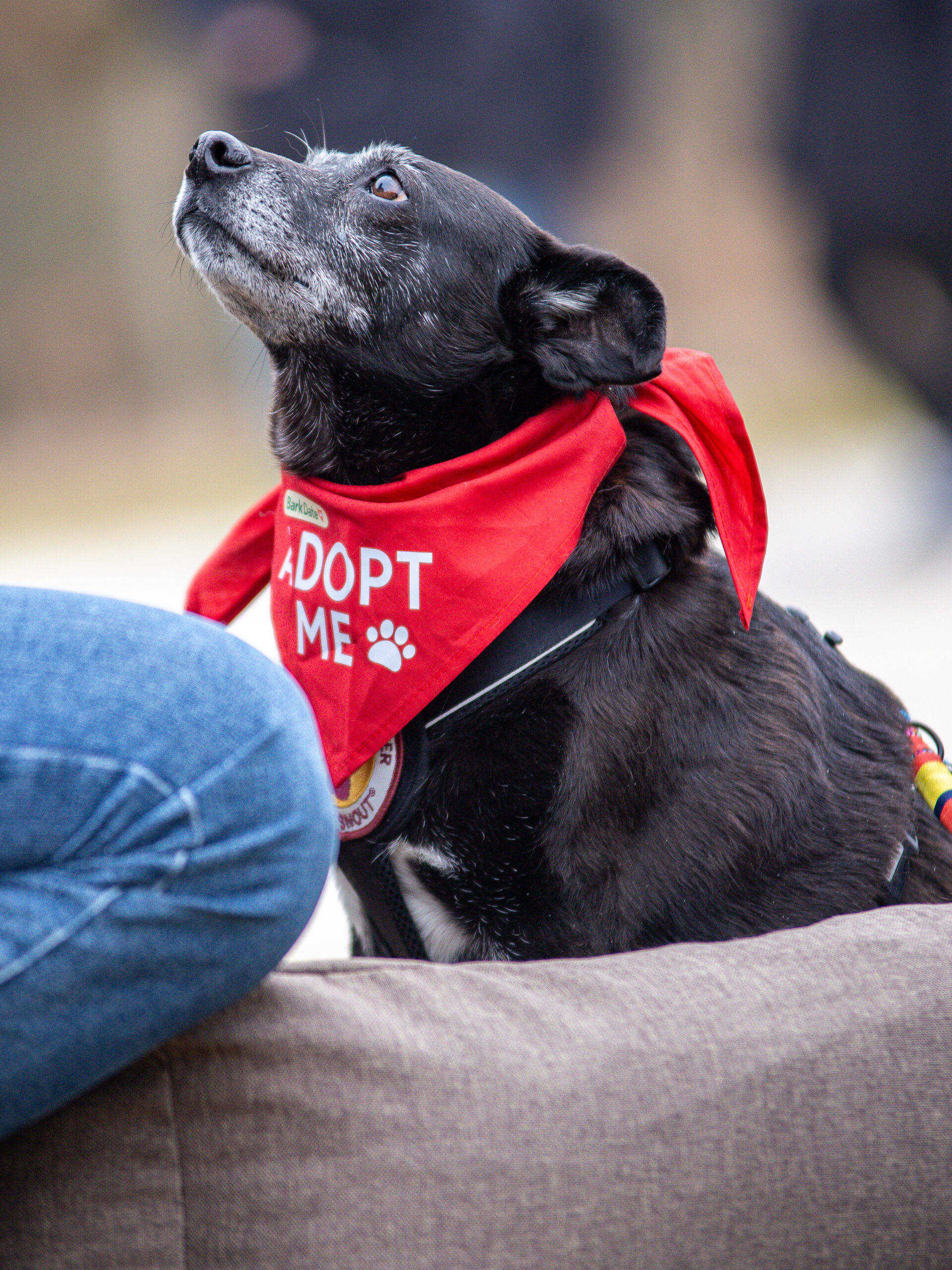 Stella auf dem Bark Date in Ellwangen