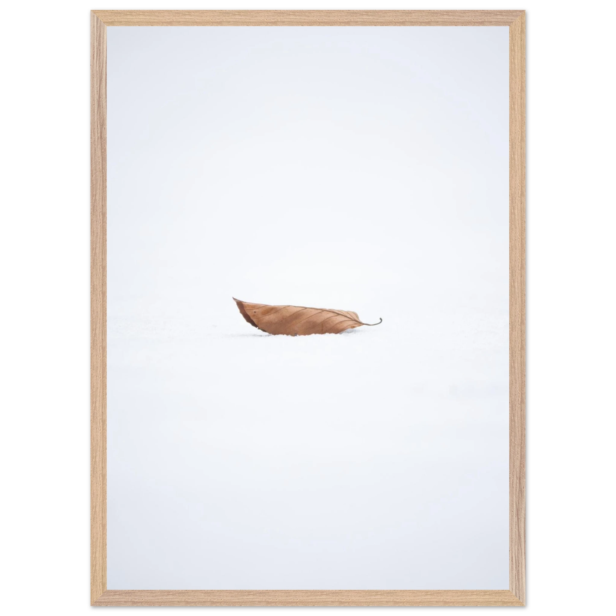 2537b0b7-a9db-4550-bc9e-4c6ec323ec9b