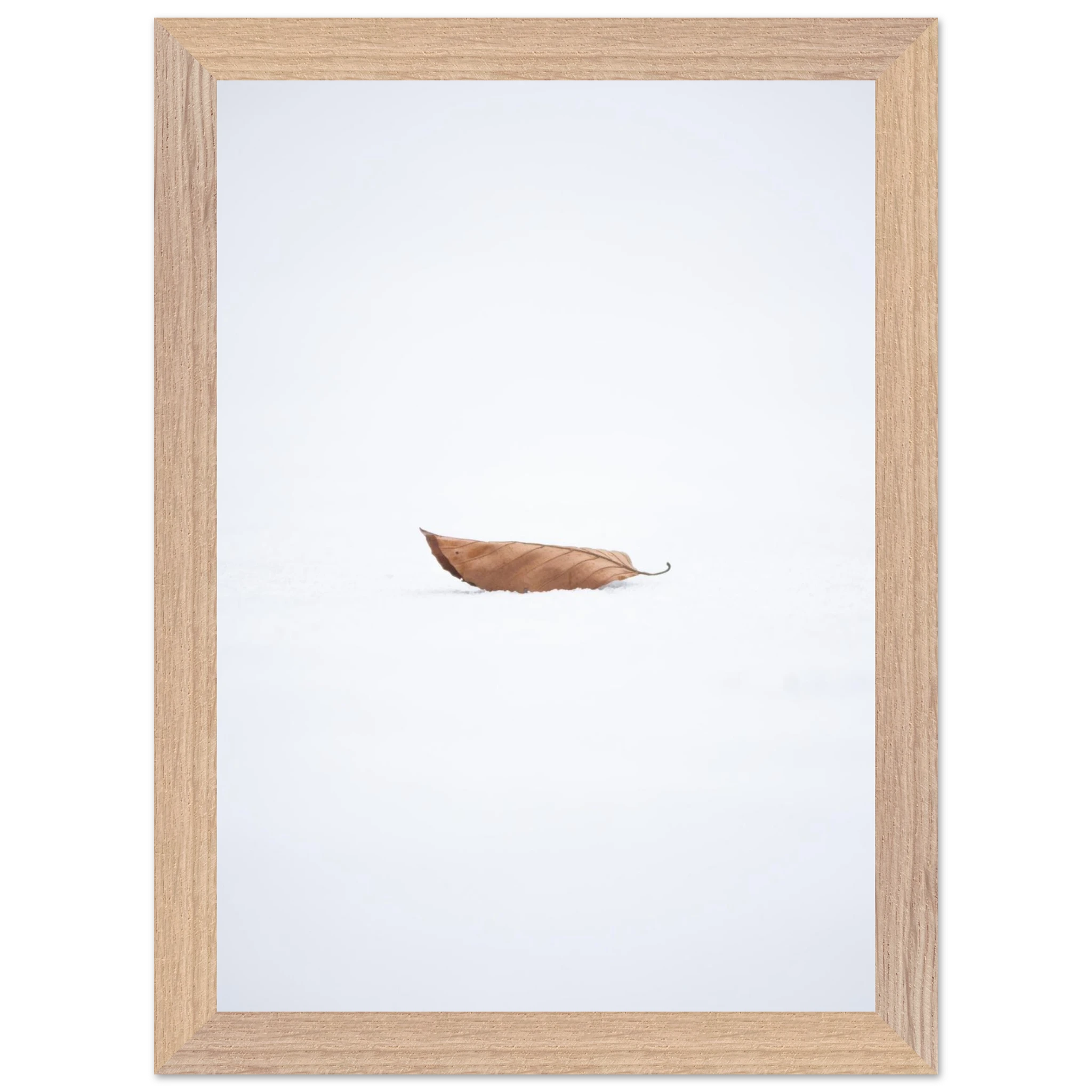 2fad3f97-22b8-445d-874e-4686b937b238