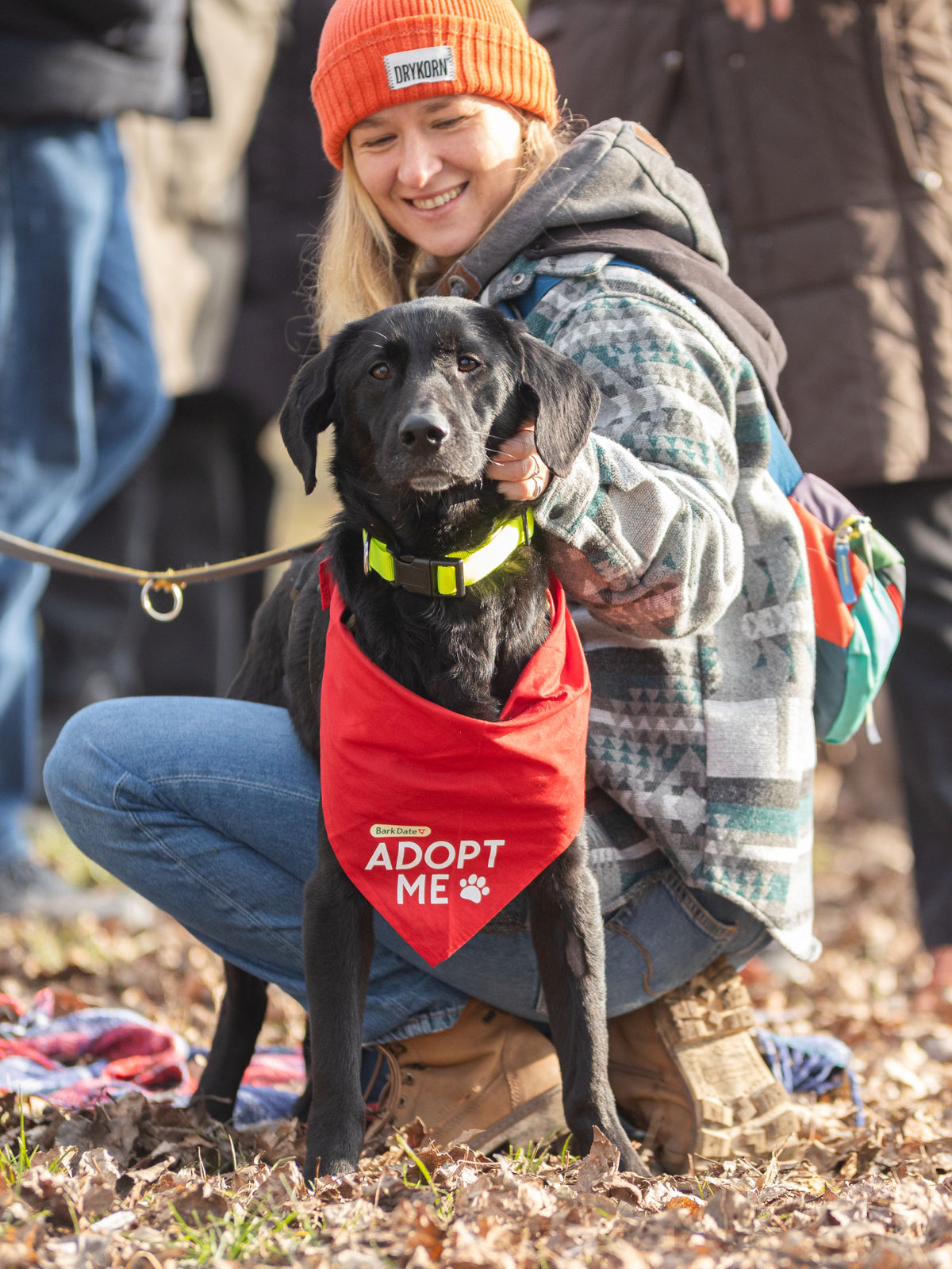 Haso in Würzburg Hundeshooting