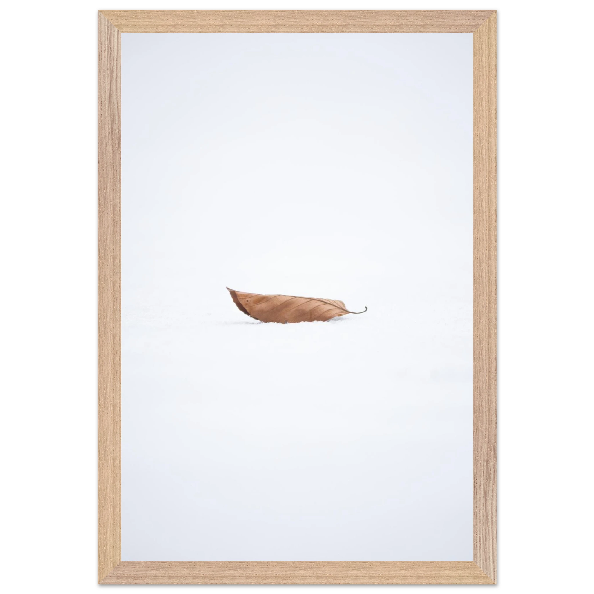 41969e8a-ed8e-4bf3-b0da-8b705427ea94