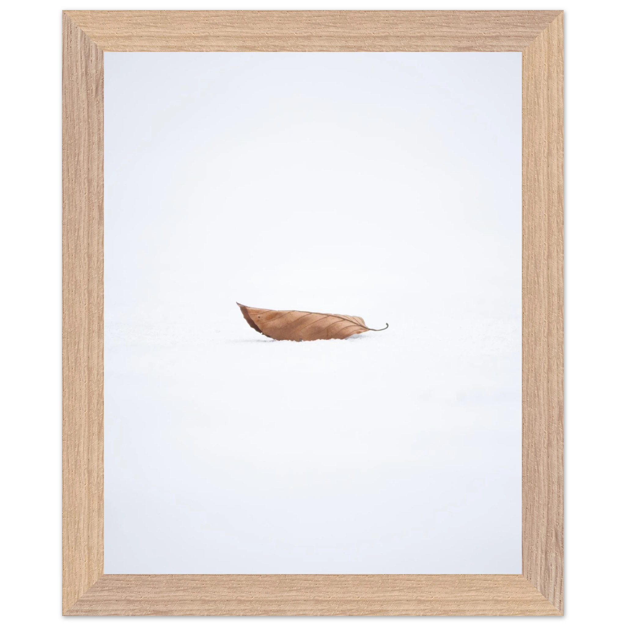 4733bade-1751-49a3-9af8-9e7110f25e0c