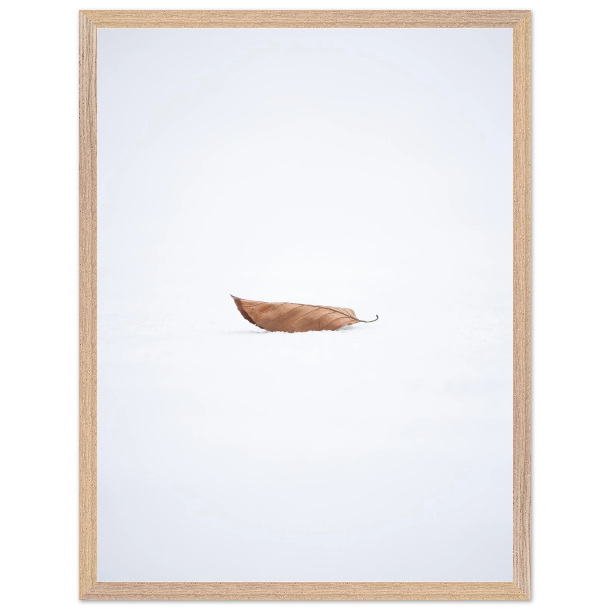 4dd2fd00-7e34-4cf4-893a-50b0a73a6b19