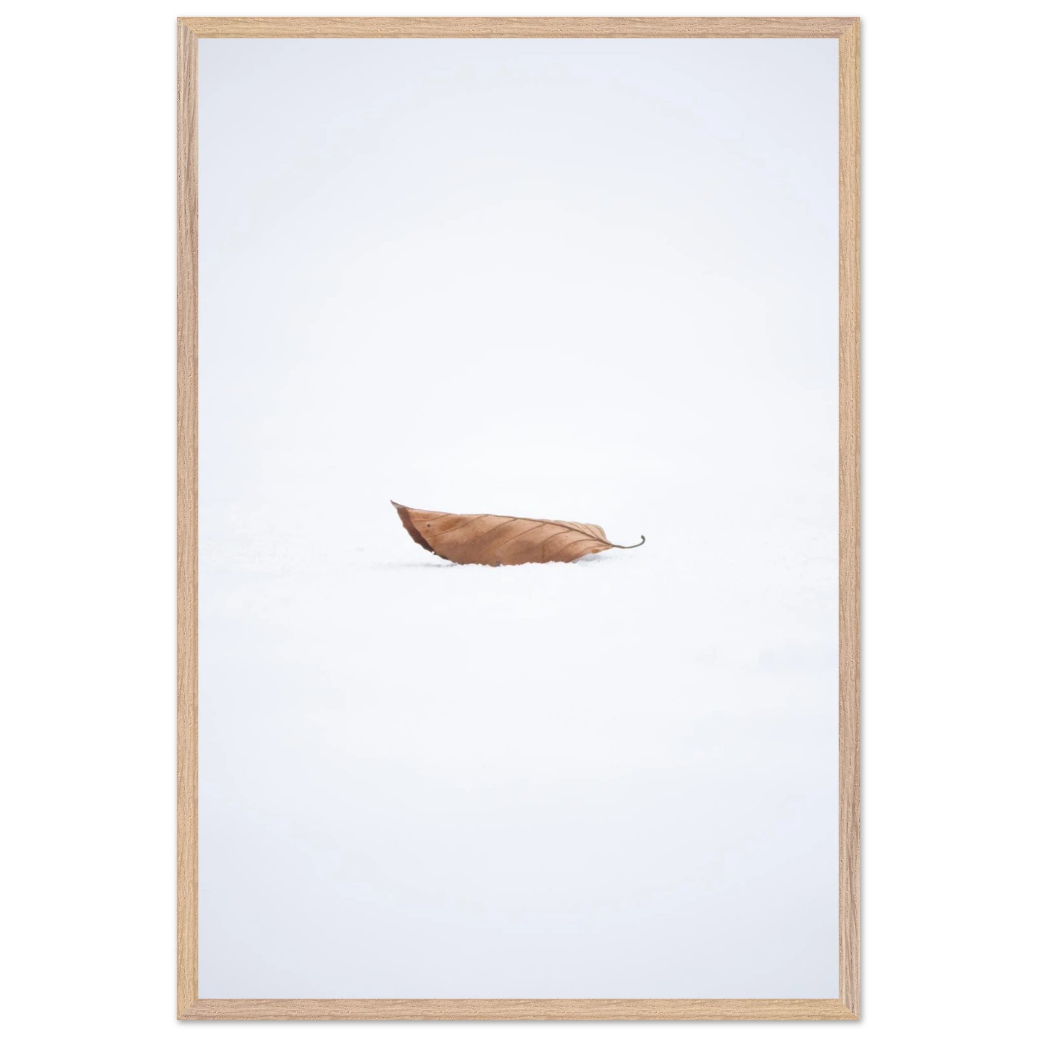 51d5180d-be15-4ee4-9e53-07959732d5bd