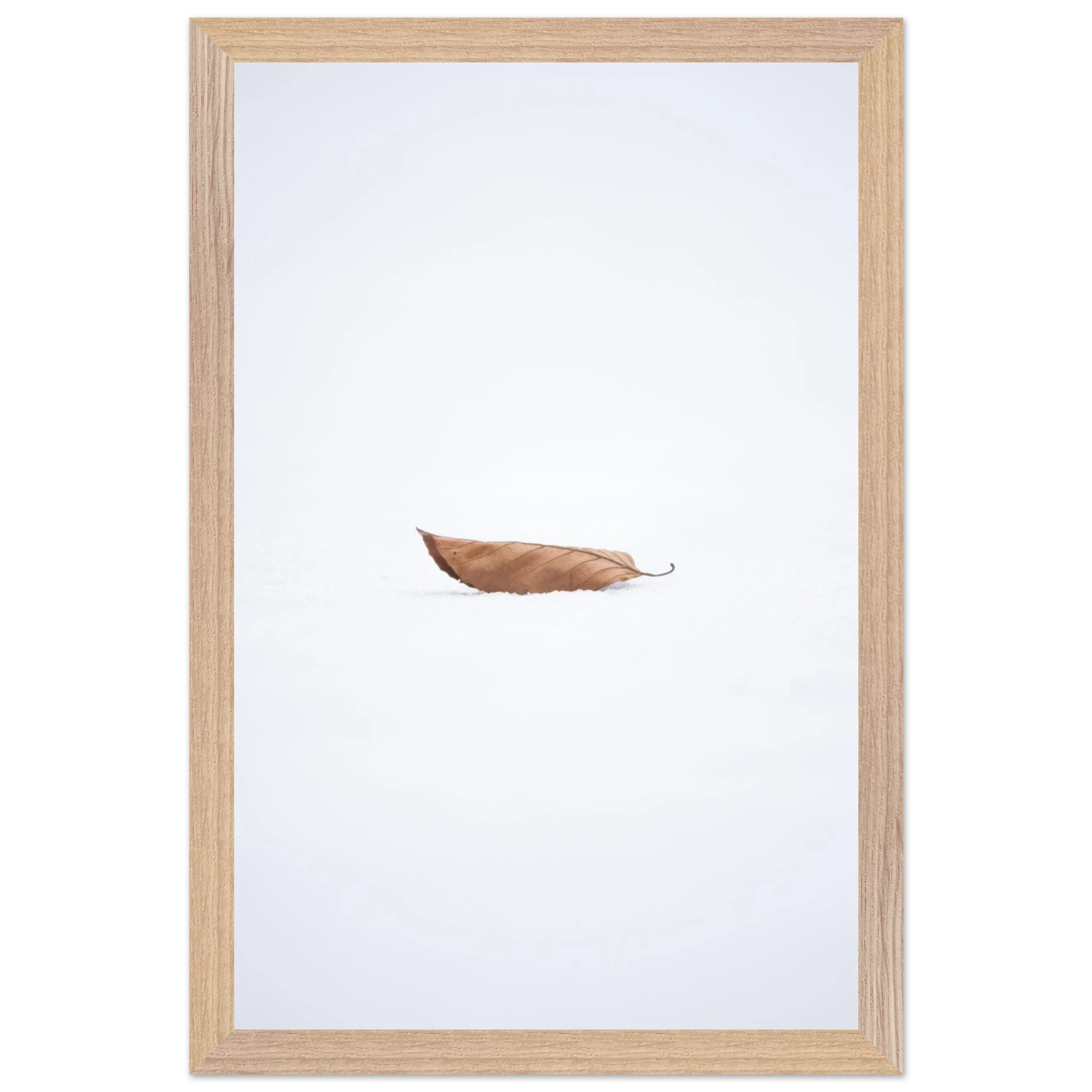 663c4646-0d53-491b-9977-7c8ce8d9cde5