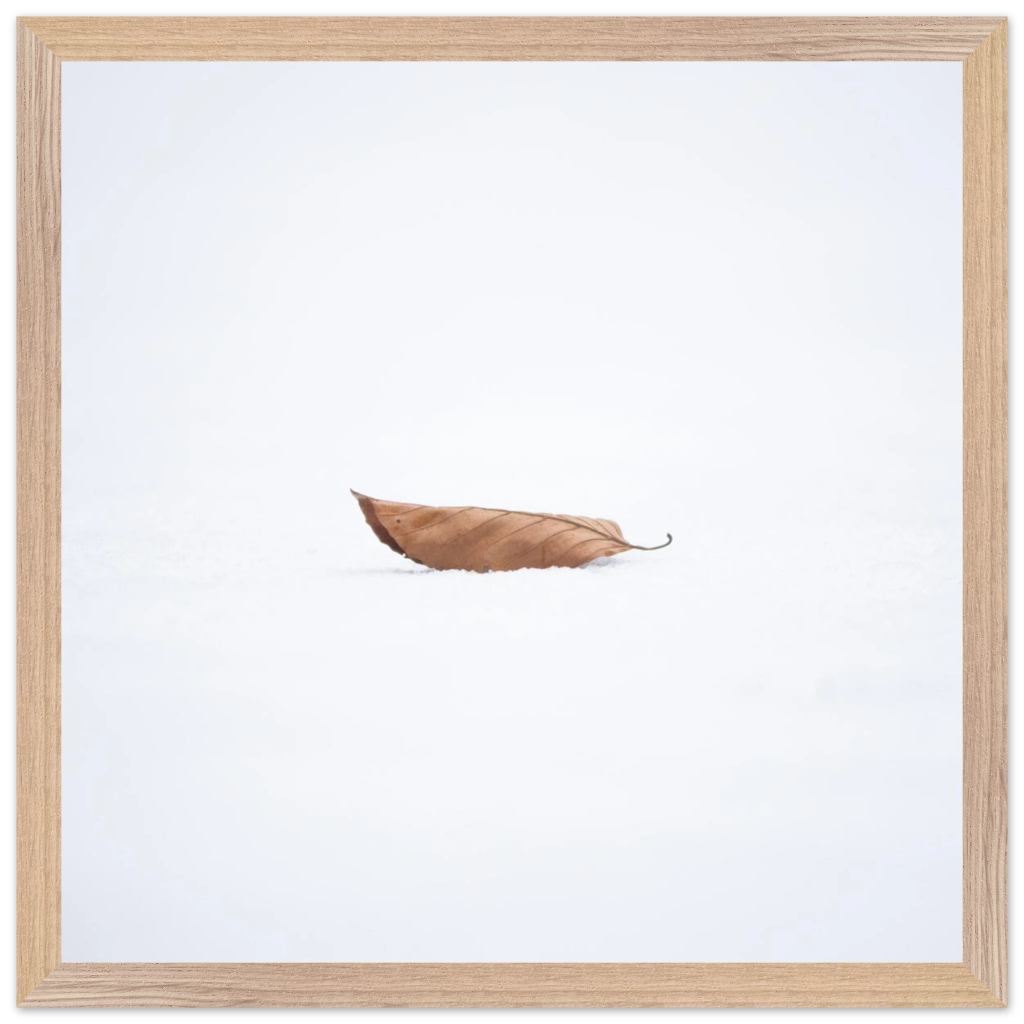 72a3e8ac-86be-402e-bbe4-65e546d273b7