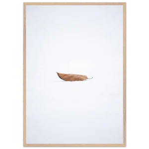 7f84b5fa-e402-4333-af08-718ac98fc1f4