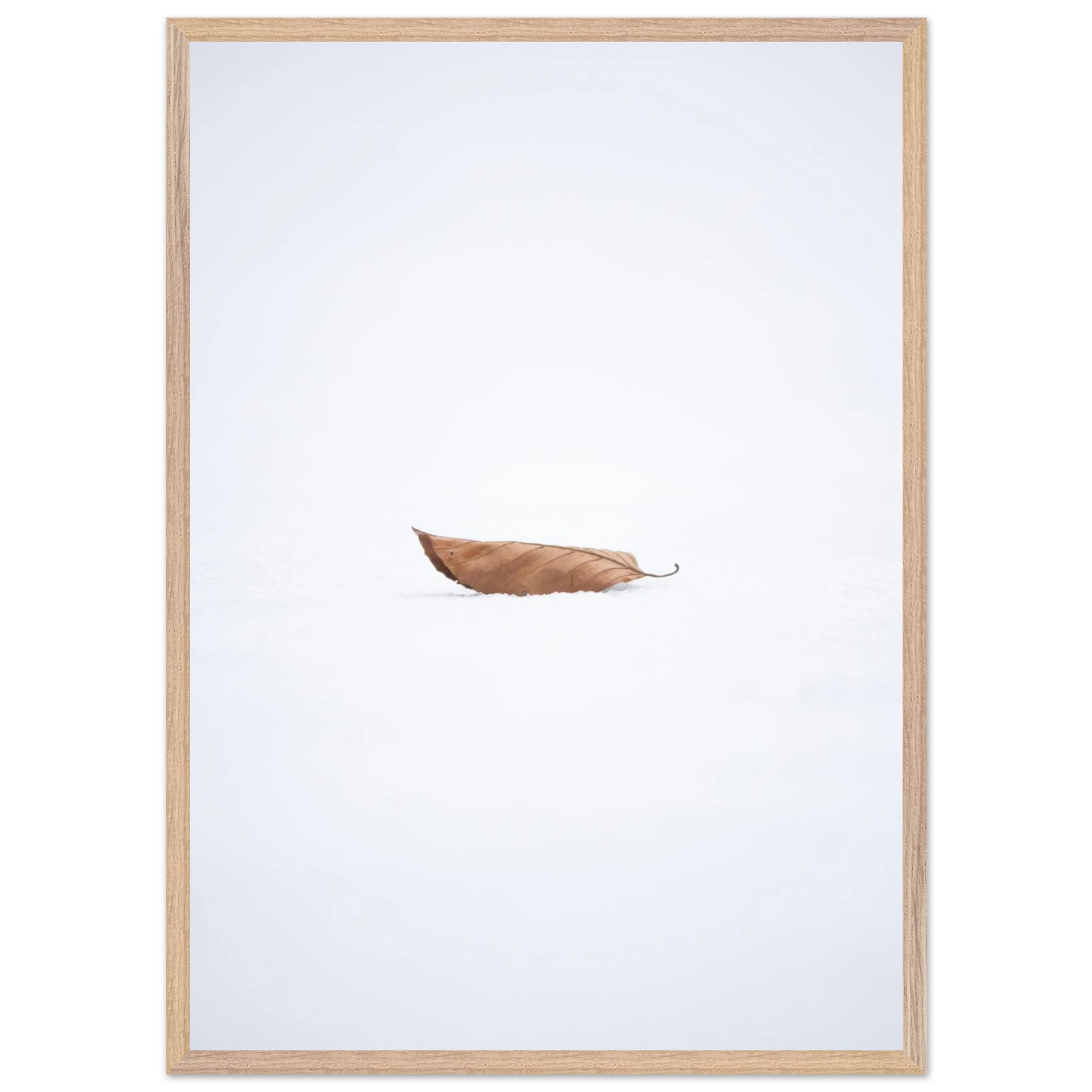 946c76fa-ca34-4fb9-add1-1691a63d1ca2