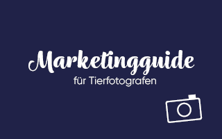 Projekt: Marketingguide für Tierfotografen – Marketing verstehen statt nur mitreden