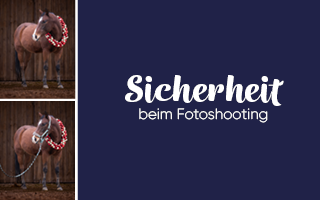 Sicherheit beim Fotoshooting mit Tieren