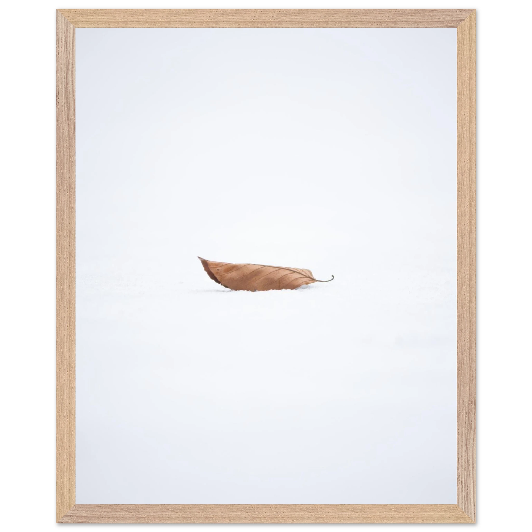 b109cf0c-1cda-42e1-9c48-d64872ae2656