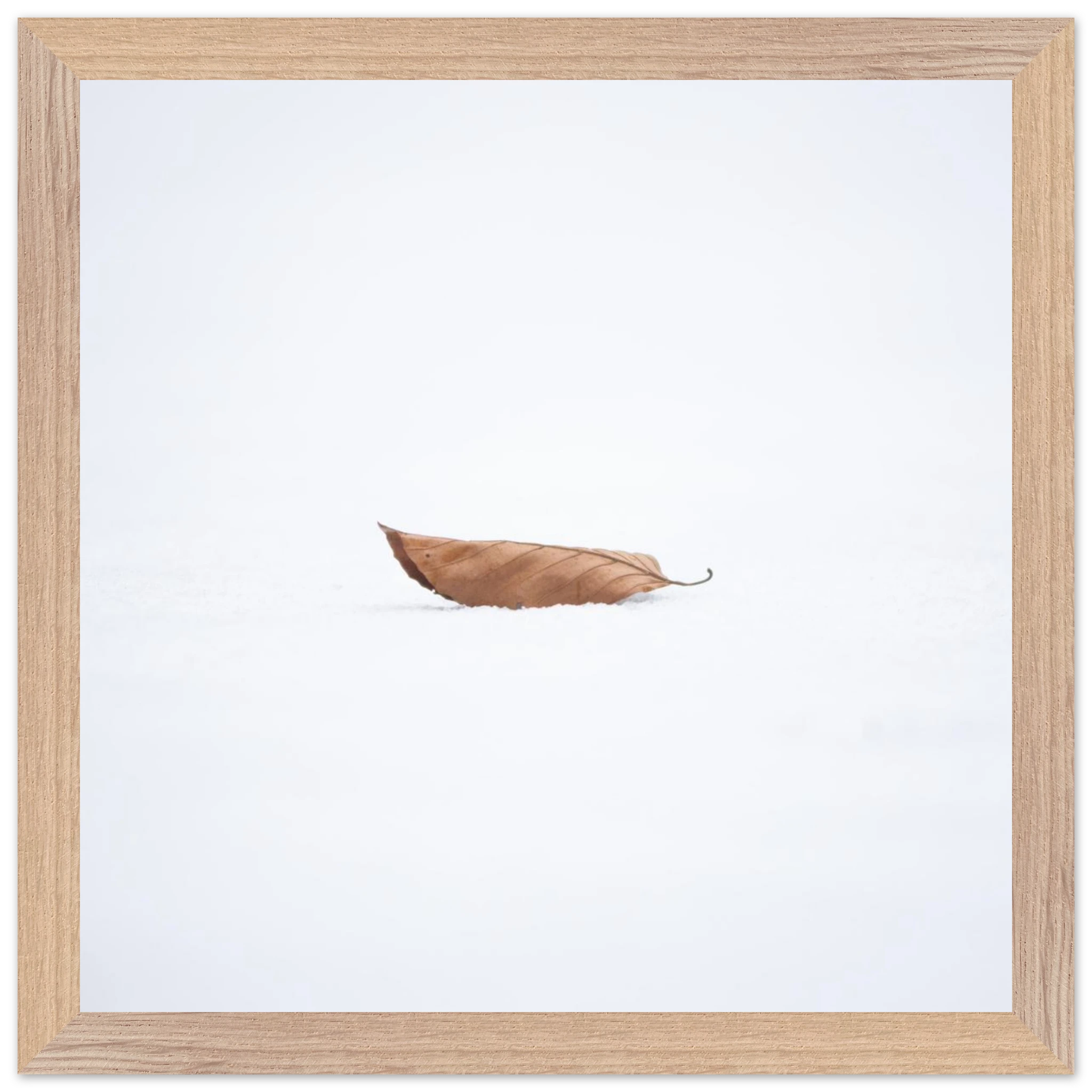 b606f086-577e-4891-a02f-6d91e480590a