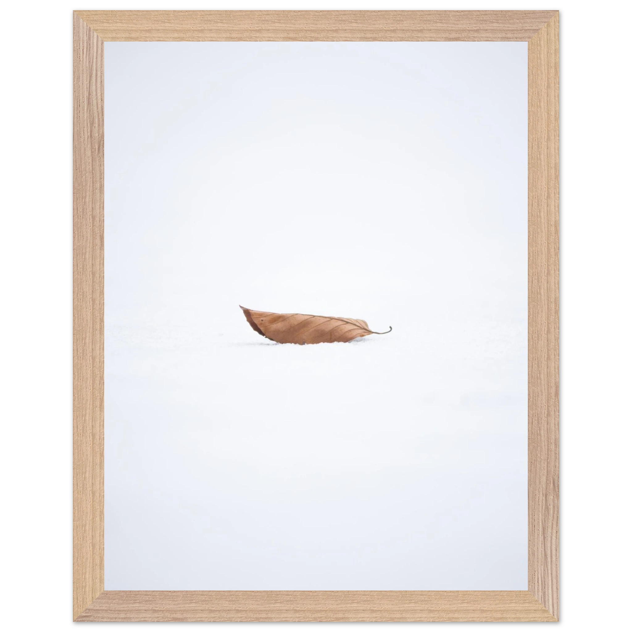 b91909b0-413a-4ab3-90dc-4e59fcbf2da5