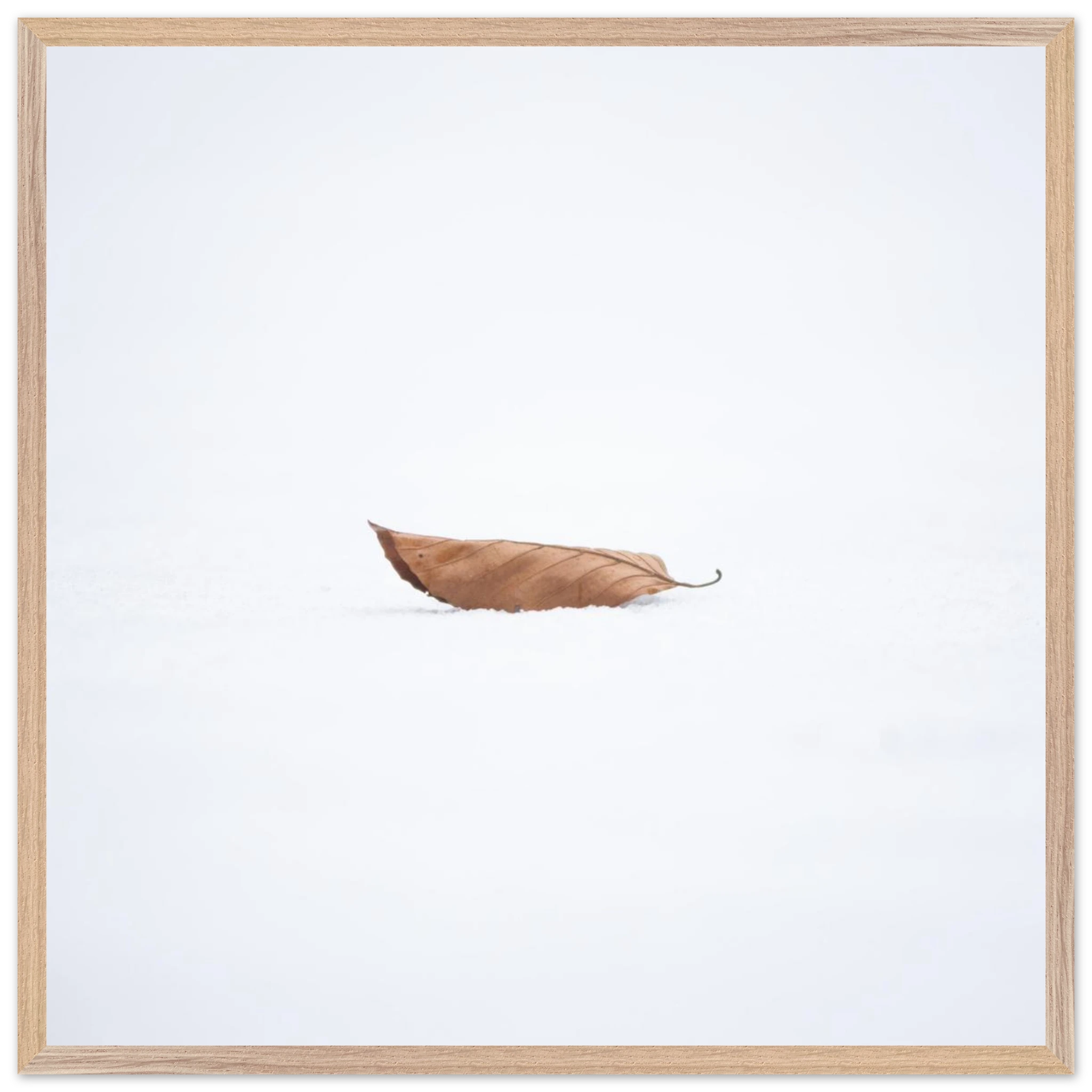 bcfa8c0f-6643-441d-8bd5-f800093622fb