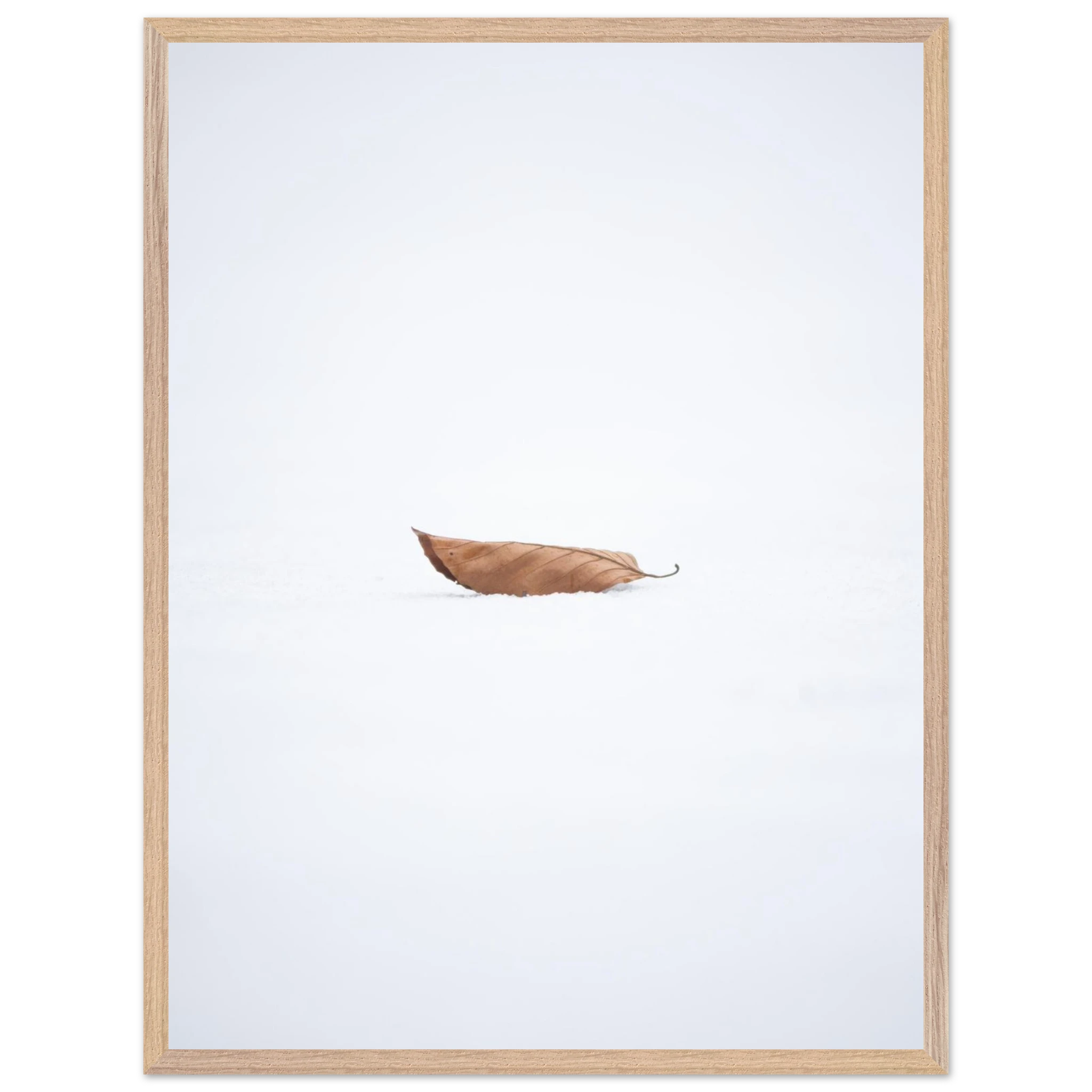 d25fc7b7-63ed-48d7-9023-563eb587e342