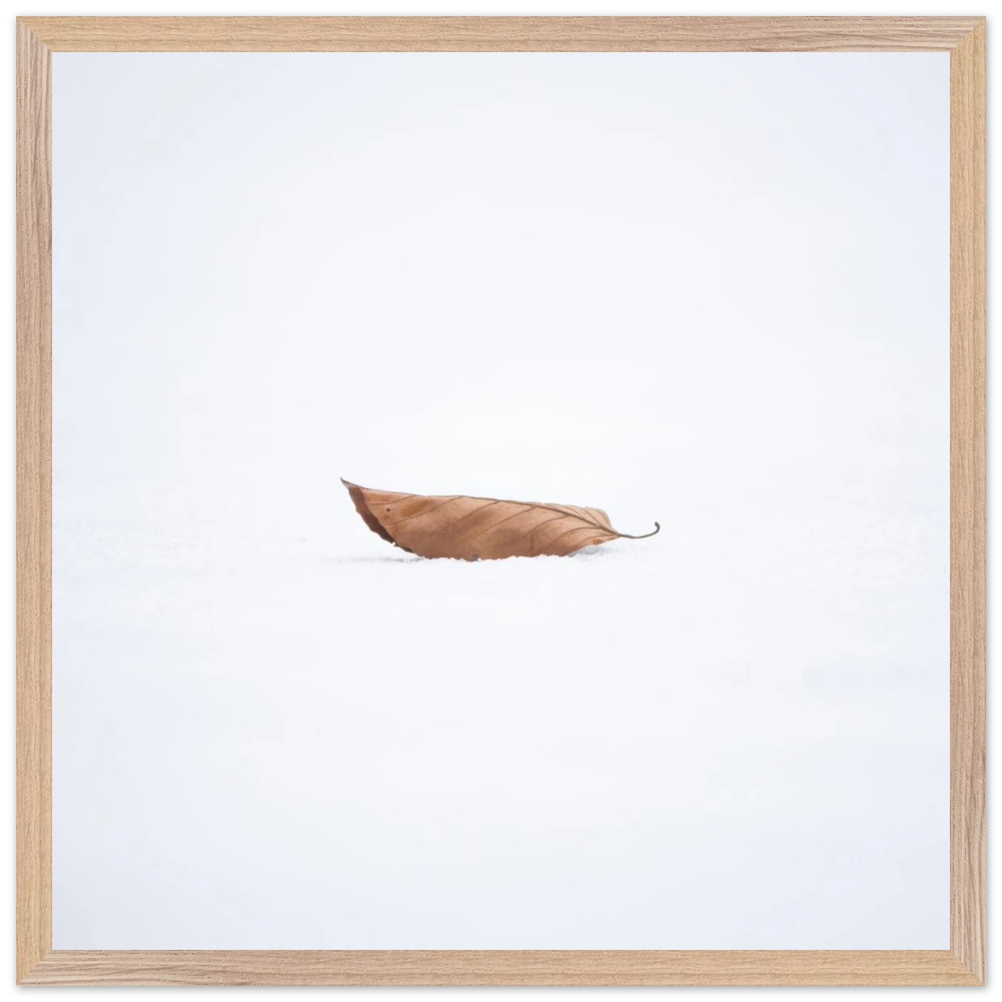 d800a073-784b-43bd-a3cf-2502a8af037f