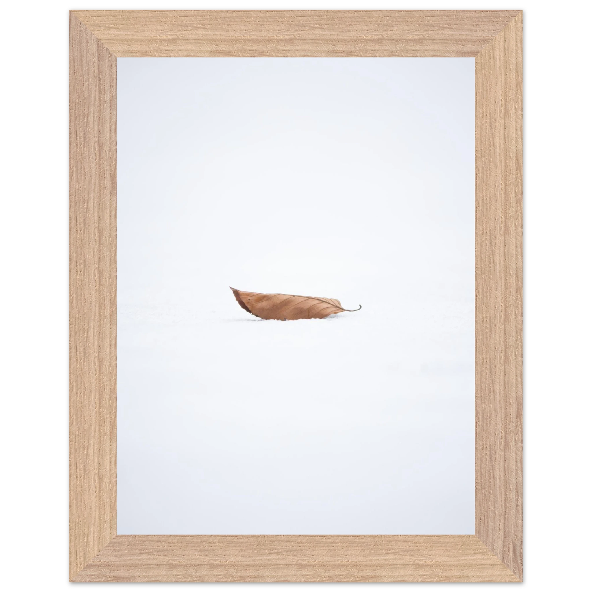 f38160bf-cc35-4a12-b0d0-000c700ff3a0