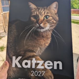 Katzen Kalender Riesertatzen 2027