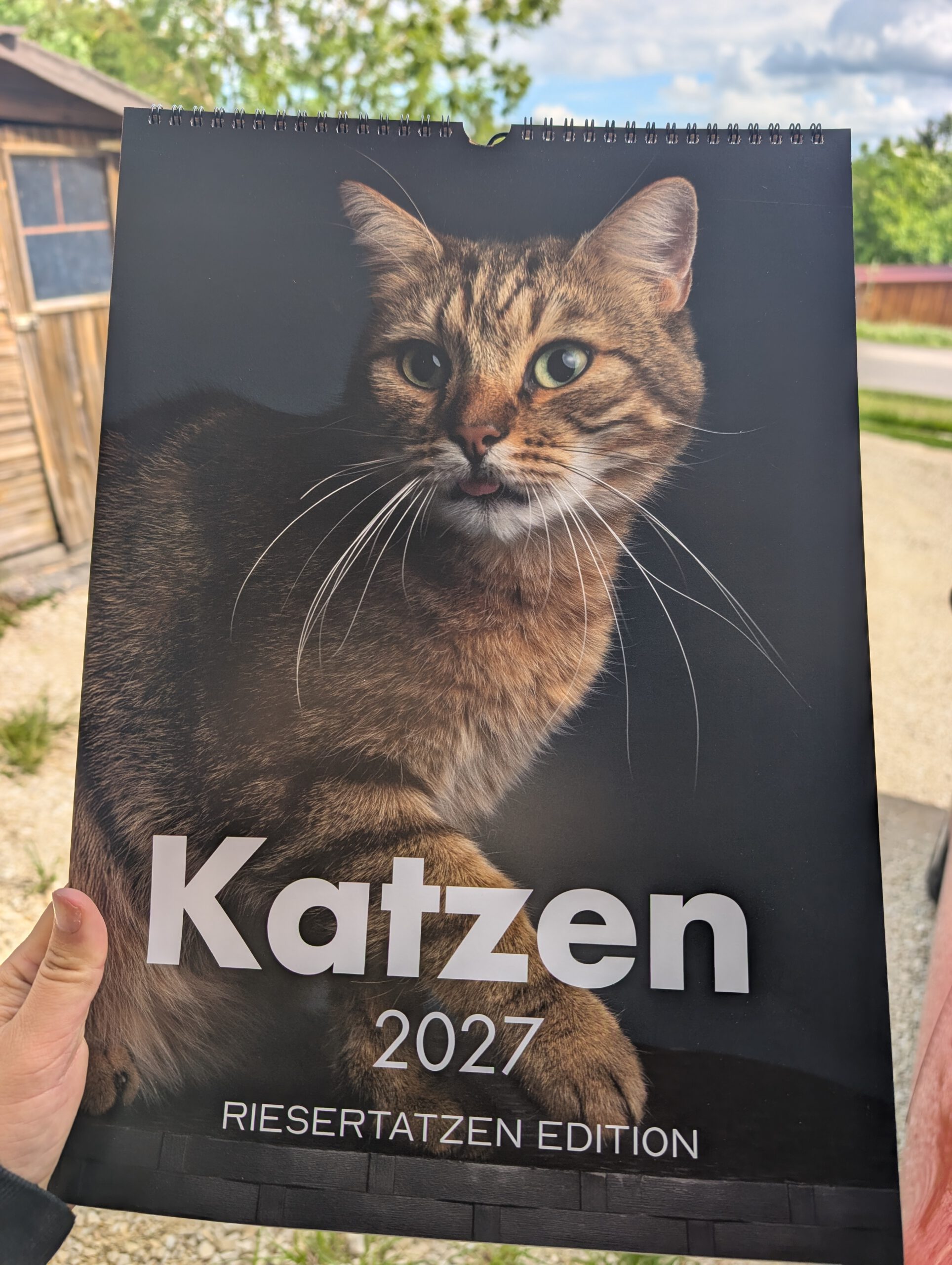 Katzen Kalender Riesertatzen 2027