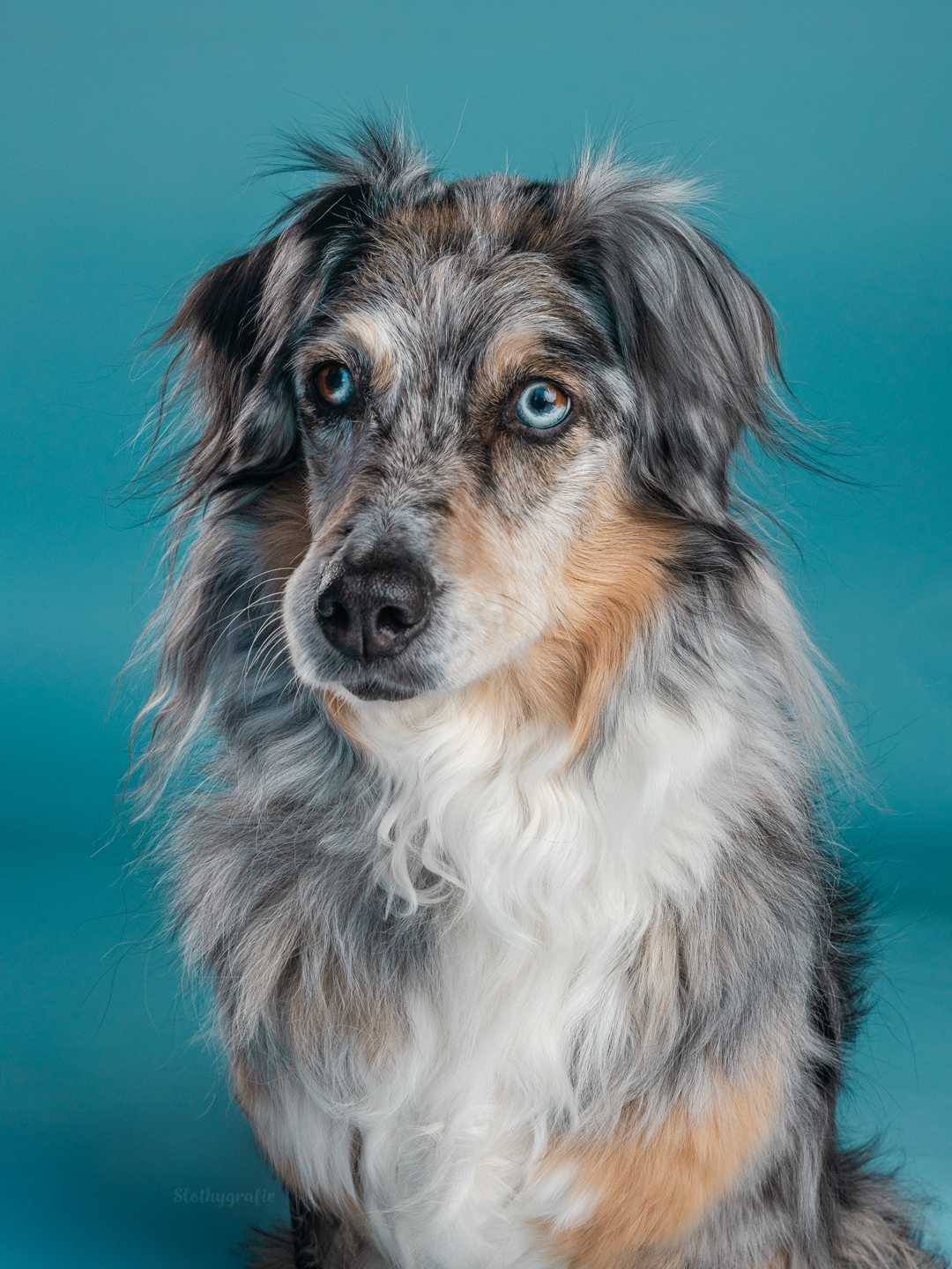 Nitika beim Second Paw Flohmarkt 2026